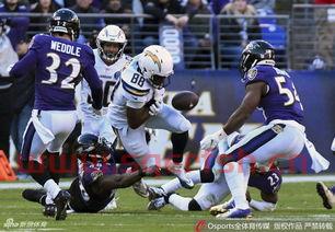 NFL季后赛规则改革（nfl季后赛打几场）
