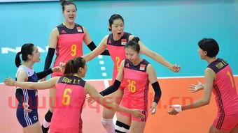 中国女排队员位置安排（中国女排队员位置安排最新）