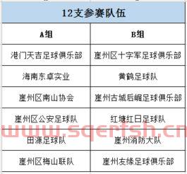 殴州杯赛程表2021（殴州杯比赛结果）