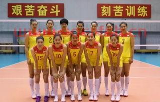 中国女排队员几人（中国女排队员们）