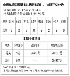 体彩足球进球数（体彩足球进球数怎么买）