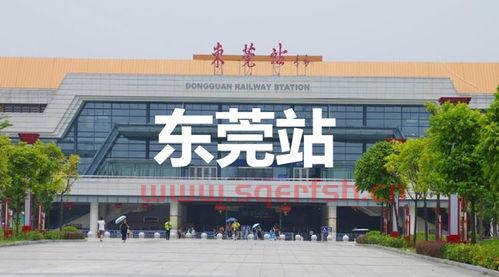 广东东莞大益