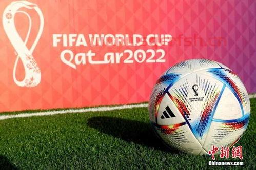 世界杯用球2022